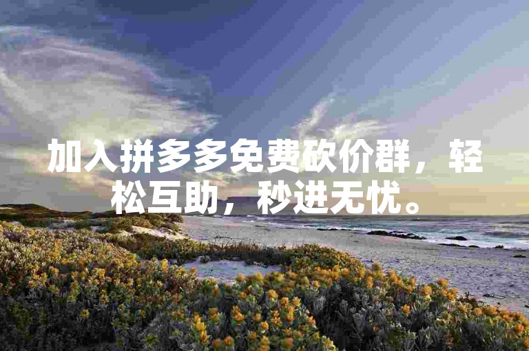 加入拼多多免费砍价群，轻松互助，秒进无忧。