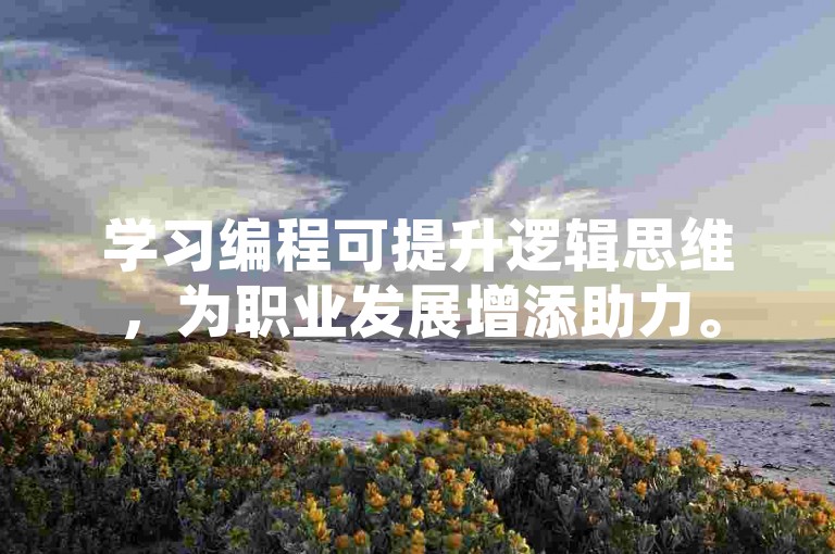 学习编程可提升逻辑思维，为职业发展增添助力。