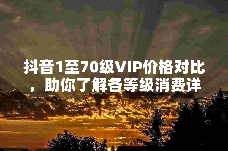 抖音1至70级VIP价格对比，助你了解各等级消费详情。
