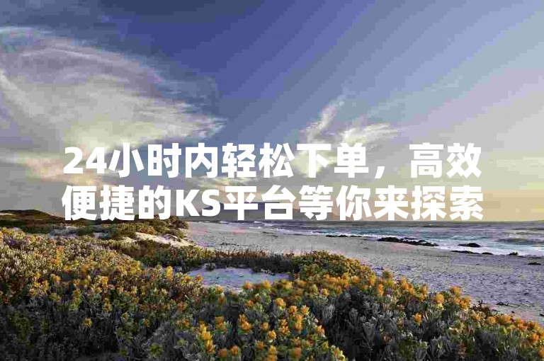 24小时内轻松下单，高效便捷的KS平台等你来探索。