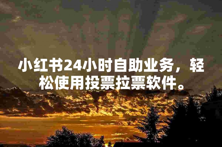 小红书24小时自助业务，轻松使用投票拉票软件。