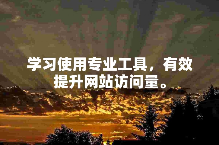 学习使用专业工具，有效提升网站访问量。