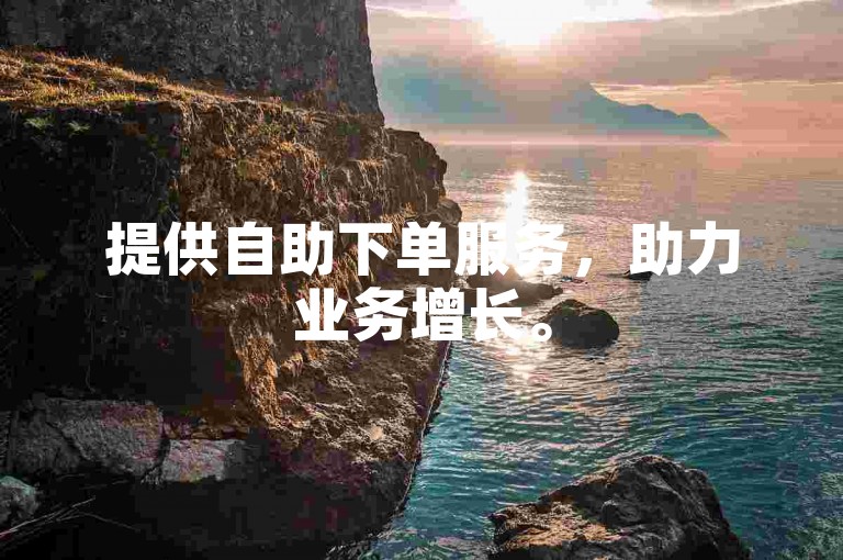 提供自助下单服务，助力业务增长。