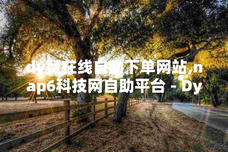 dy赞在线自助下单网站,nap6科技网自助平台 - Dy免费业务平台 - dyks自助平台