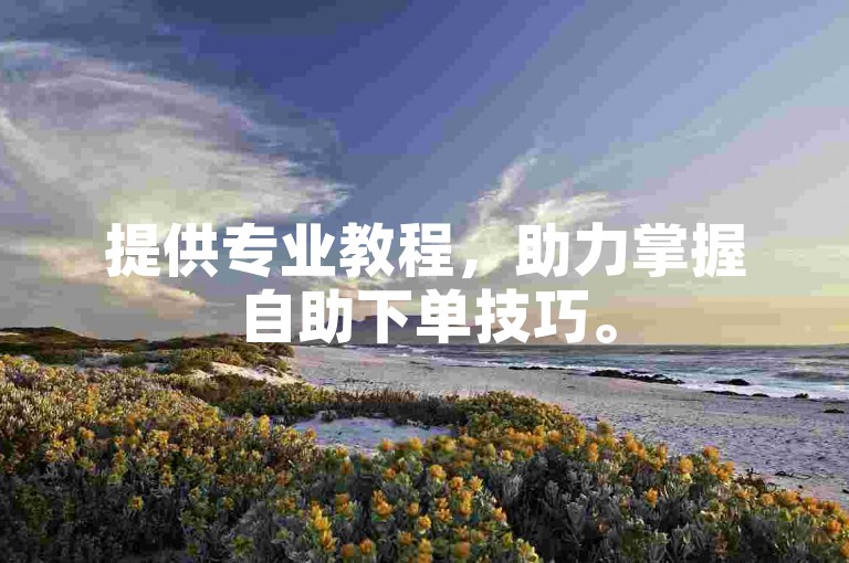 提供专业教程，助力掌握自助下单技巧。