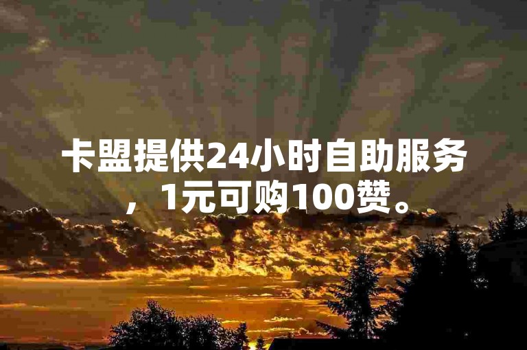 卡盟提供24小时自助服务，1元可购100赞。