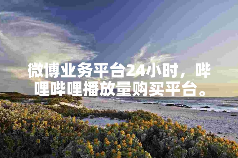 微博业务平台24小时，哔哩哔哩播放量购买平台。