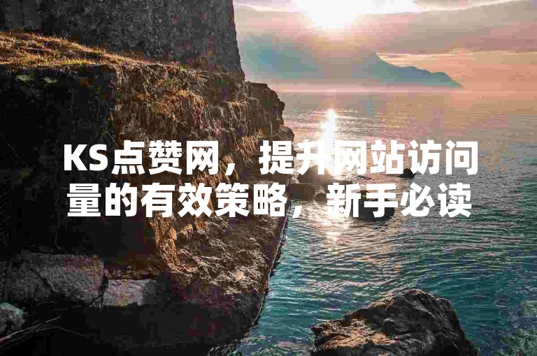 KS点赞网，提升网站访问量的有效策略，新手必读！