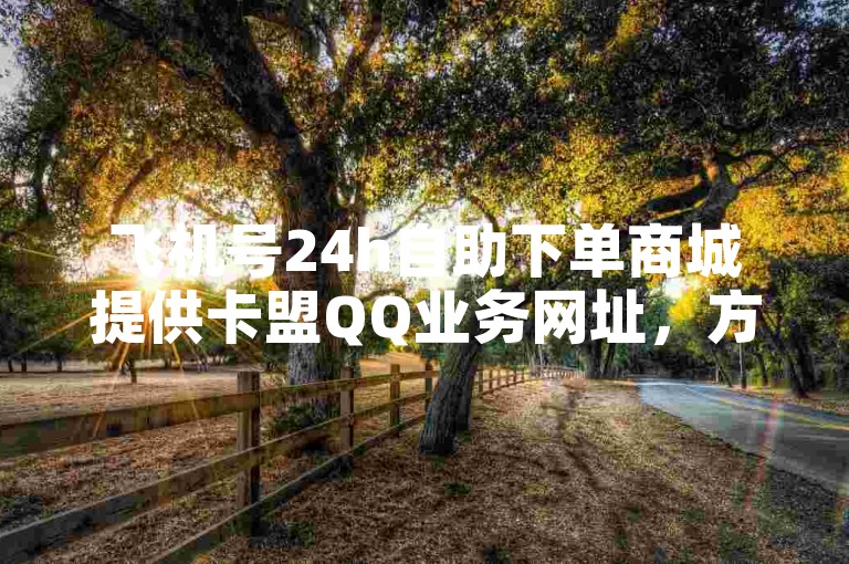 飞机号24h自助下单商城提供卡盟QQ业务网址，方便用户随时下单。