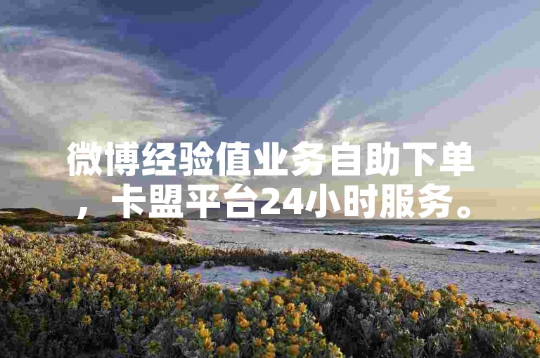 微博经验值业务自助下单，卡盟平台24小时服务。