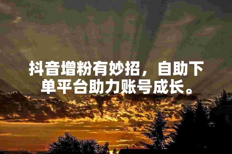 抖音增粉有妙招，自助下单平台助力账号成长。