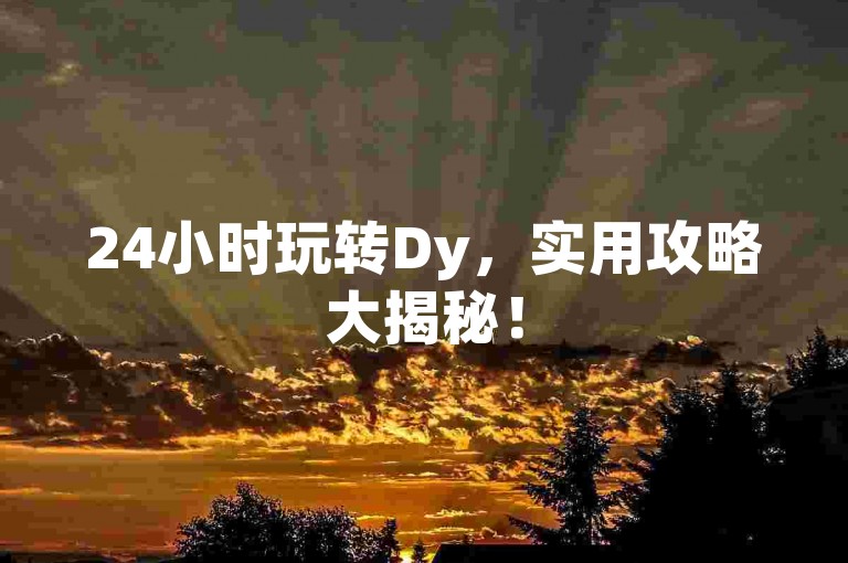 24小时玩转Dy，实用攻略大揭秘！