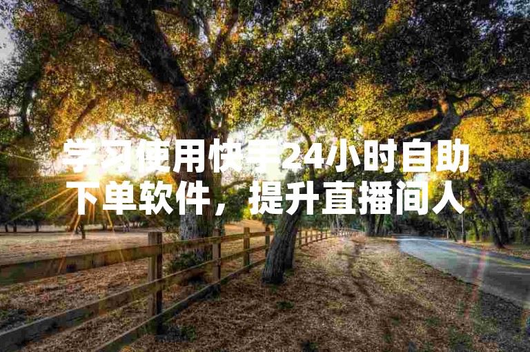 学习使用快手24小时自助下单软件，提升直播间人气。