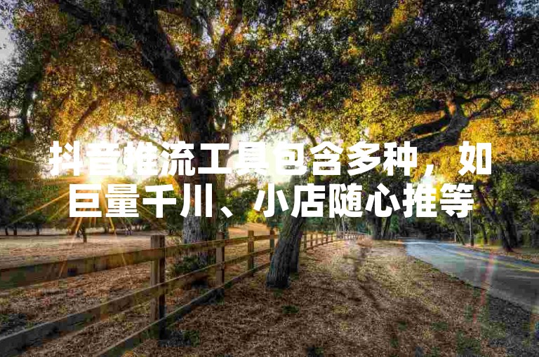 抖音推流工具包含多种，如巨量千川、小店随心推等。