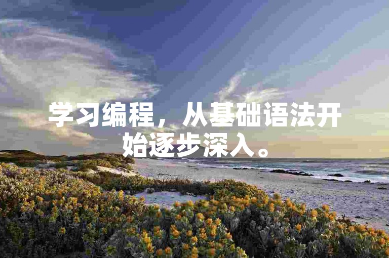 学习编程，从基础语法开始逐步深入。