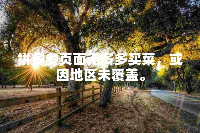 拼多多页面无多多买菜，或因地区未覆盖。