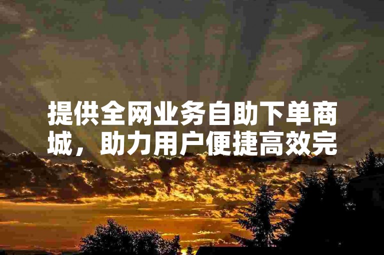 提供全网业务自助下单商城，助力用户便捷高效完成任务。