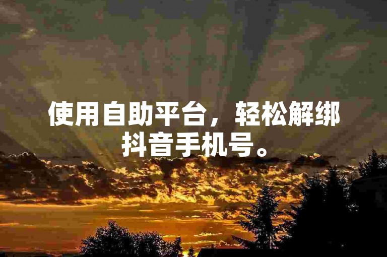 使用自助平台，轻松解绑抖音手机号。