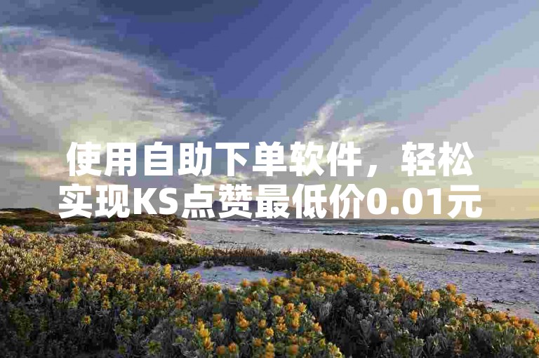 使用自助下单软件，轻松实现KS点赞最低价0.01元。