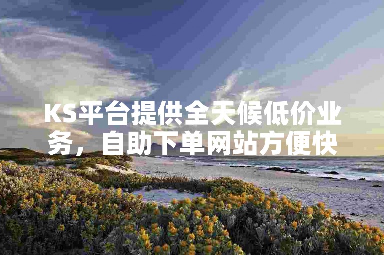 KS平台提供全天候低价业务，自助下单网站方便快捷。