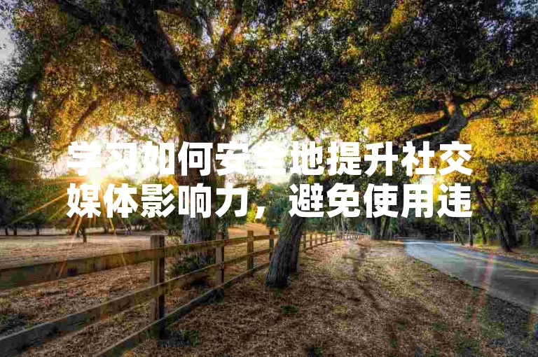 学习如何安全地提升社交媒体影响力，避免使用违规服务。