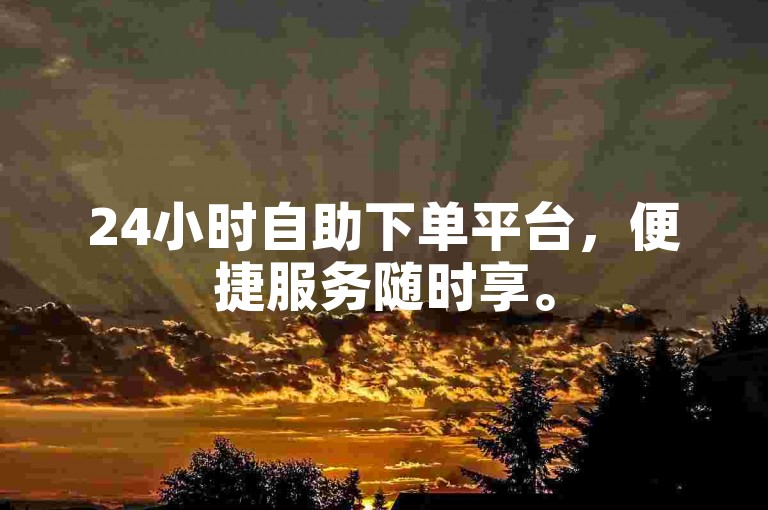 24小时自助下单平台，便捷服务随时享。