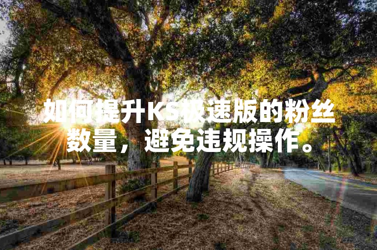 如何提升KS极速版的粉丝数量，避免违规操作。