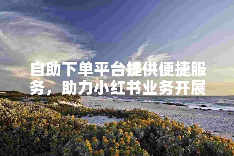 自助下单平台提供便捷服务，助力小红书业务开展。