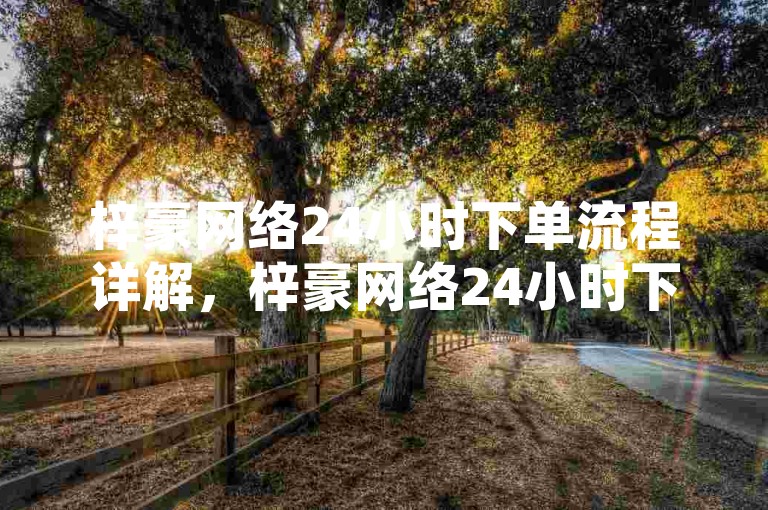 梓豪网络24小时下单流程详解，梓豪网络24小时下单操作指南。