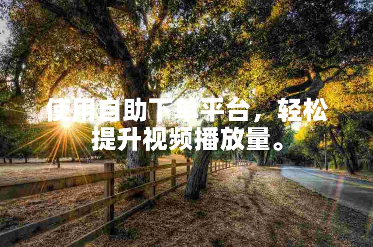 使用自助下单平台，轻松提升视频播放量。
