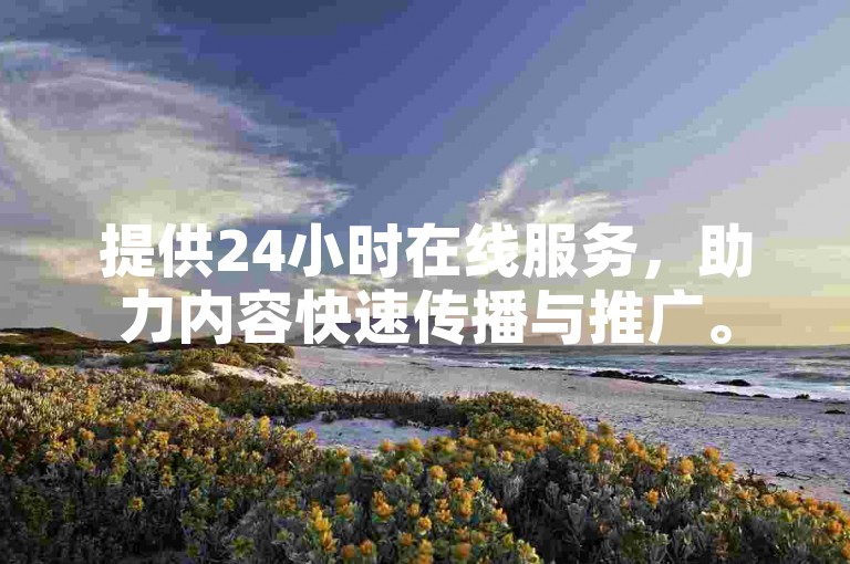 提供24小时在线服务，助力内容快速传播与推广。