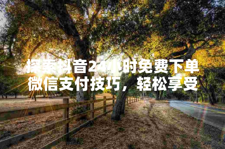 探索抖音24小时免费下单微信支付技巧，轻松享受特权服务！