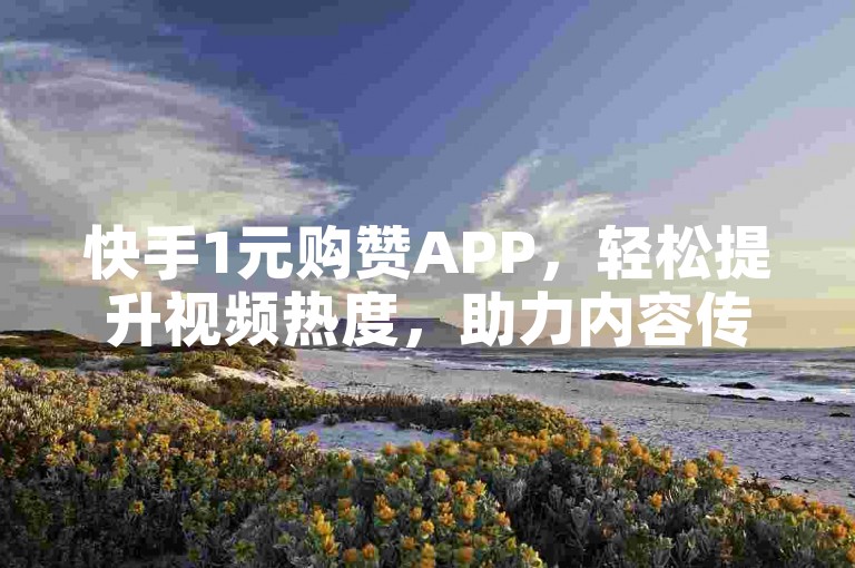 快手1元购赞APP，轻松提升视频热度，助力内容传播。