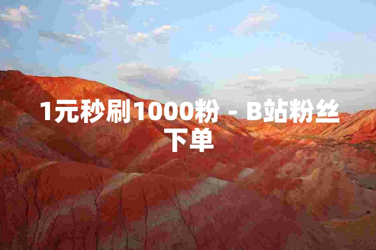 1元秒刷1000粉 - B站粉丝下单