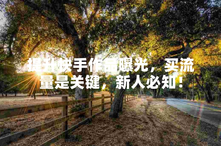 提升快手作品曝光，买流量是关键，新人必知！