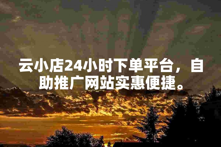 云小店24小时下单平台，自助推广网站实惠便捷。