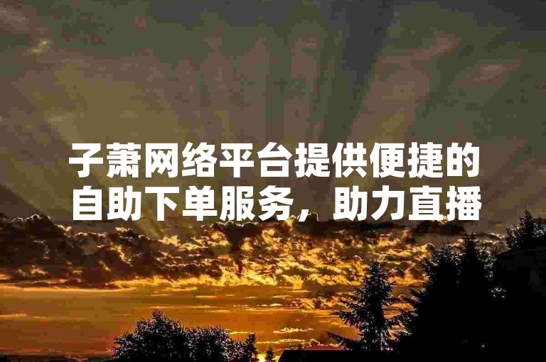 子萧网络平台提供便捷的自助下单服务，助力直播间人气提升。