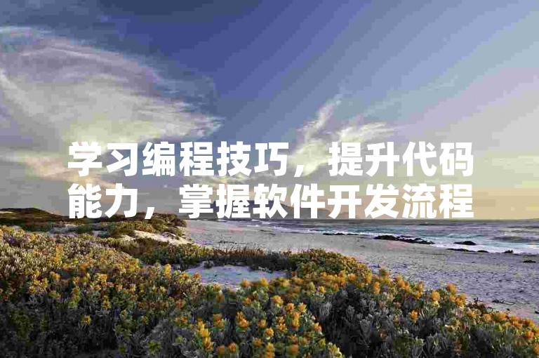 学习编程技巧，提升代码能力，掌握软件开发流程。