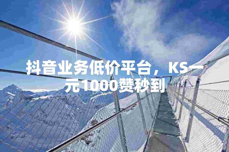 抖音业务低价平台，KS一元1000赞秒到