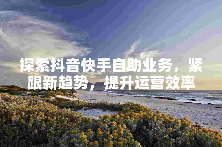 探索抖音快手自助业务，紧跟新趋势，提升运营效率。