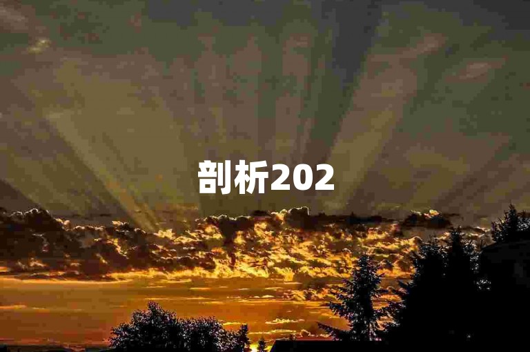 剖析2025拼多多店铺，挖掘发展潜力与应对挑战之道。