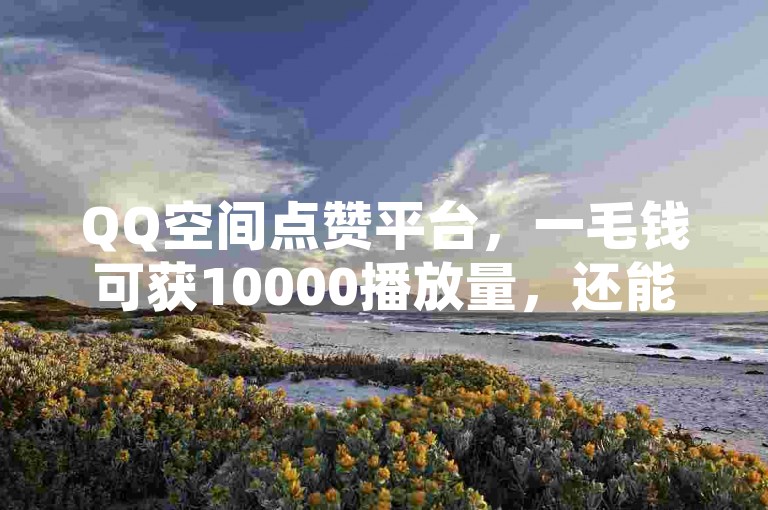 QQ空间点赞平台，一毛钱可获10000播放量，还能买QQ名片赞。