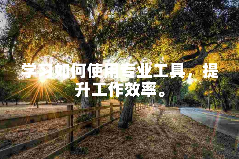 学习如何使用专业工具，提升工作效率。