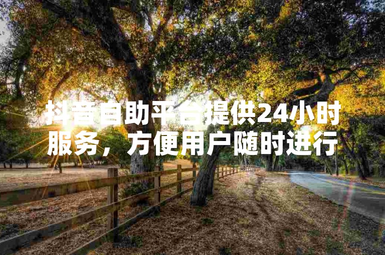 抖音自助平台提供24小时服务，方便用户随时进行操作和管理。