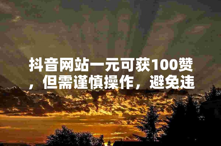 抖音网站一元可获100赞，但需谨慎操作，避免违规。