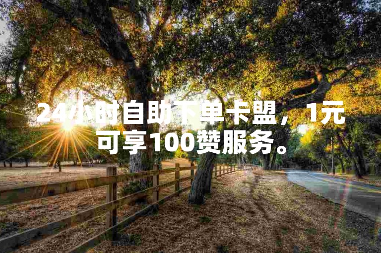 24小时自助下单卡盟，1元可享100赞服务。