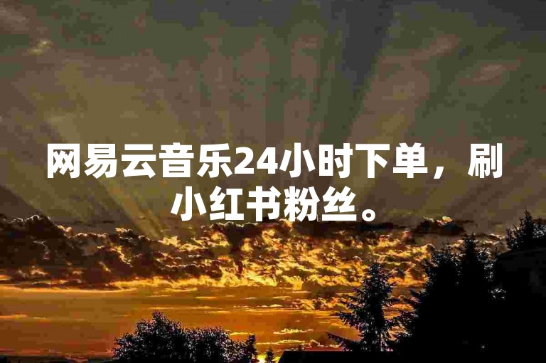 网易云音乐24小时下单，刷小红书粉丝。