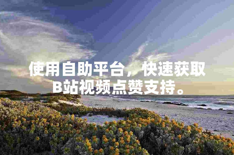 使用自助平台，快速获取B站视频点赞支持。