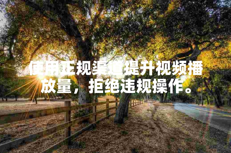 使用正规渠道提升视频播放量，拒绝违规操作。
