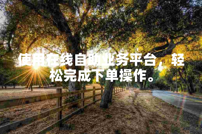 使用在线自助业务平台，轻松完成下单操作。